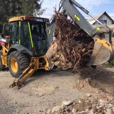 Movimiento de Tierra, Asfalto y Hormigon en Plazoleta Isla de Maipo